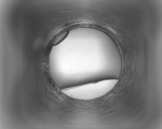 X0000067951255200604131154