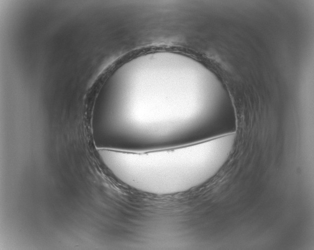 X0000067951256200604131154