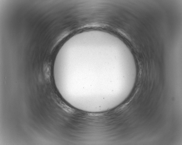 X0000067951258200604131154