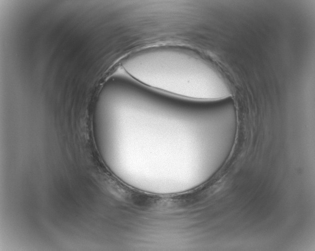 X0000067951265200604131153