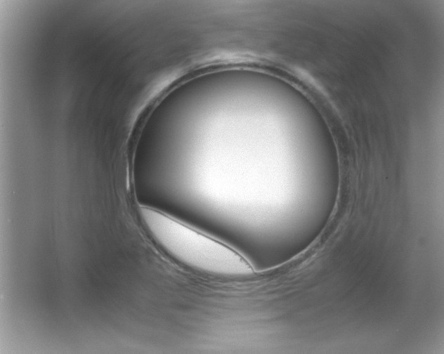 X0000067951269200604131153
