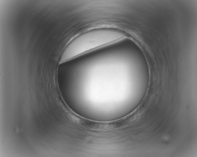 X0000067951273200604131153