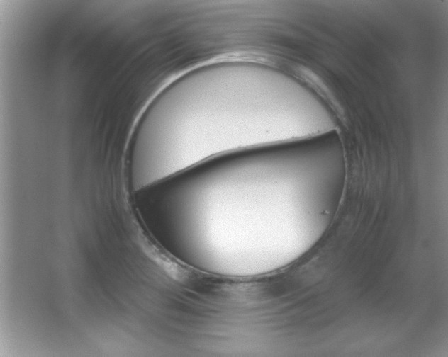 X0000067951276200604131153