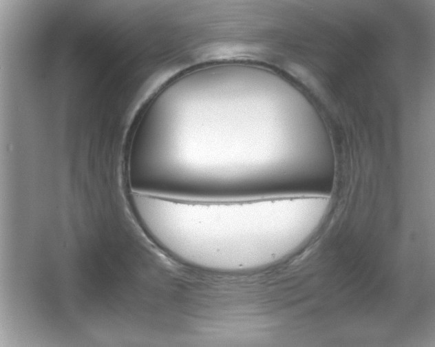 X0000067951277200604131153