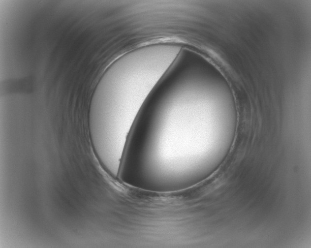 X0000067951281200604131153