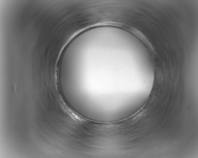 X0000067951292200604131153