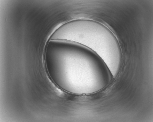 X0000067951293200604131153