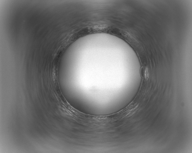 X0000067951299200604131152