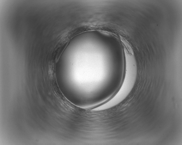X0000067951300200604131152