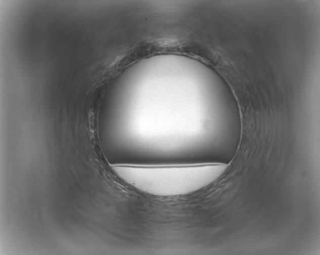X0000067951301200604131152