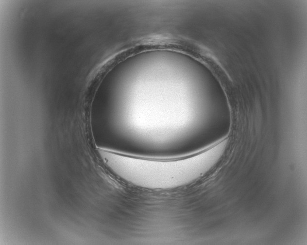 X0000067951304200604131152