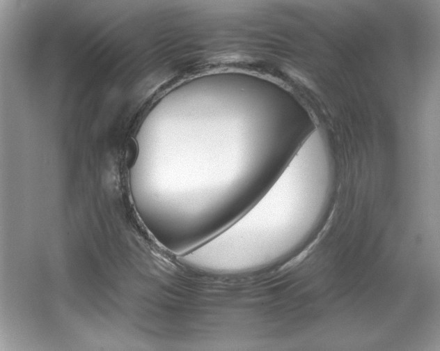 X0000067951305200604131152