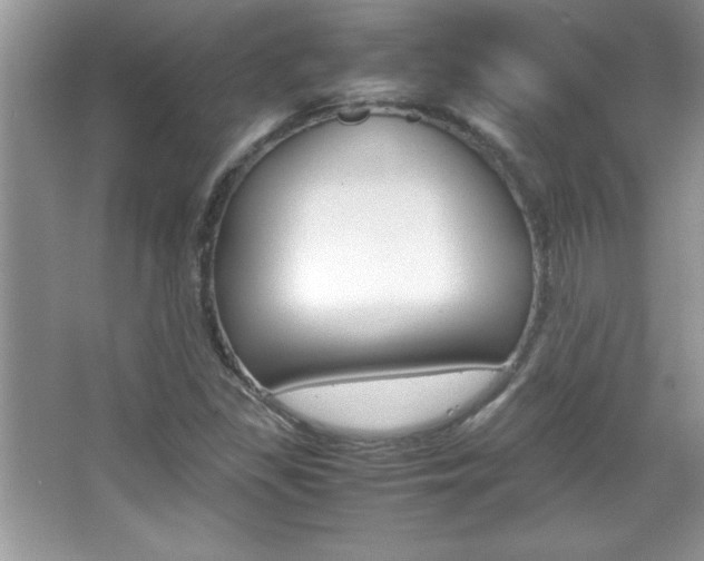 X0000067951309200604131152