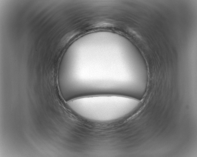 X0000067951313200604131152