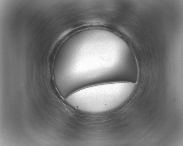 X0000067951315200604131152
