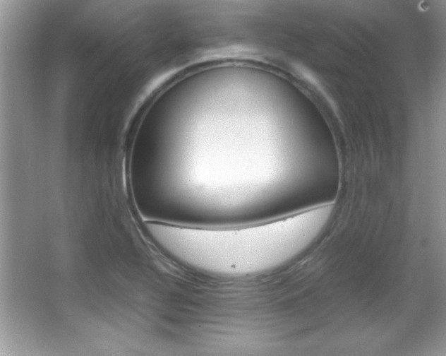 X0000067951320200604131152