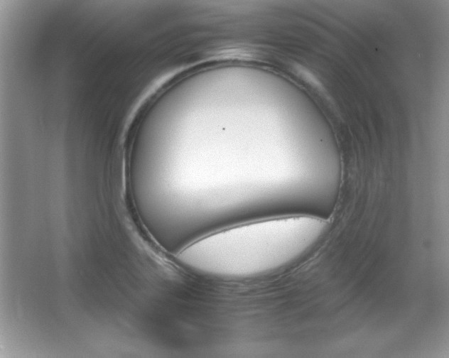 X0000067951323200604131153