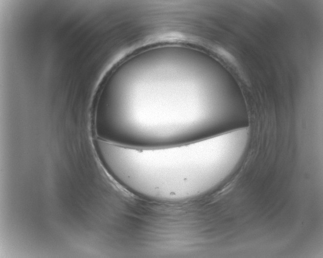 X0000067951326200604131153