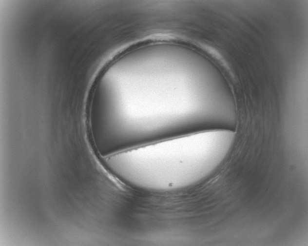 X0000067951327200604131153