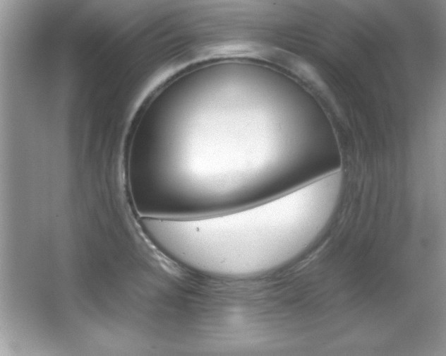 X0000067951328200604131153