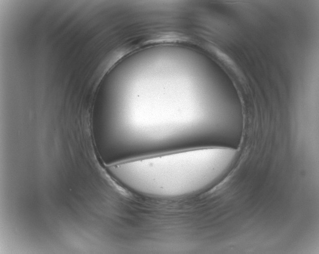X0000067951329200604131153
