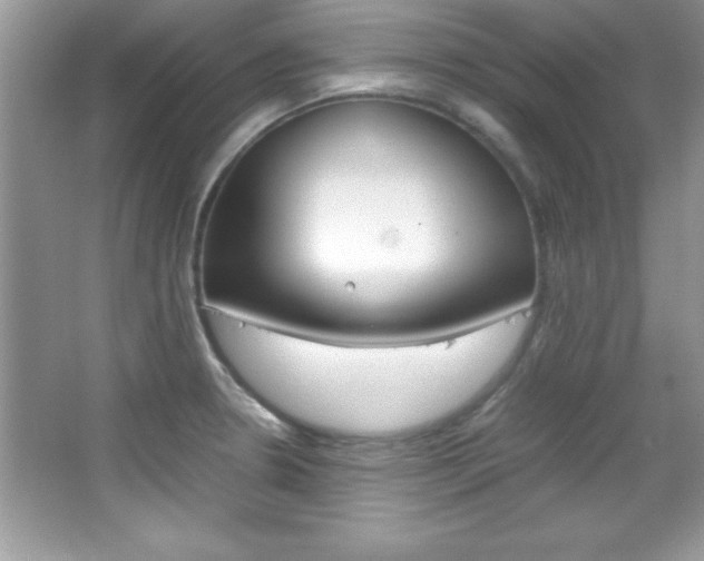 X0000067951330200604131153