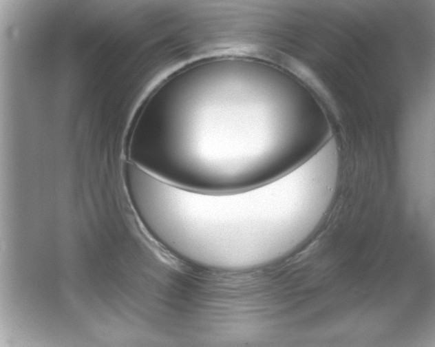 X0000067951332200604131153