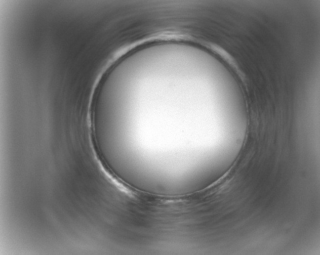 X0000067951335200604131153