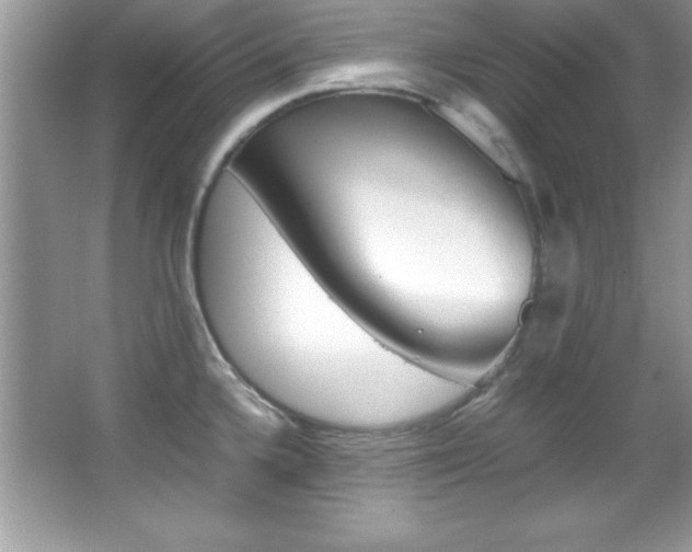 X0000067951336200604131153