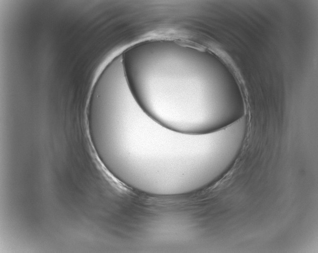 X0000067951344200604131153