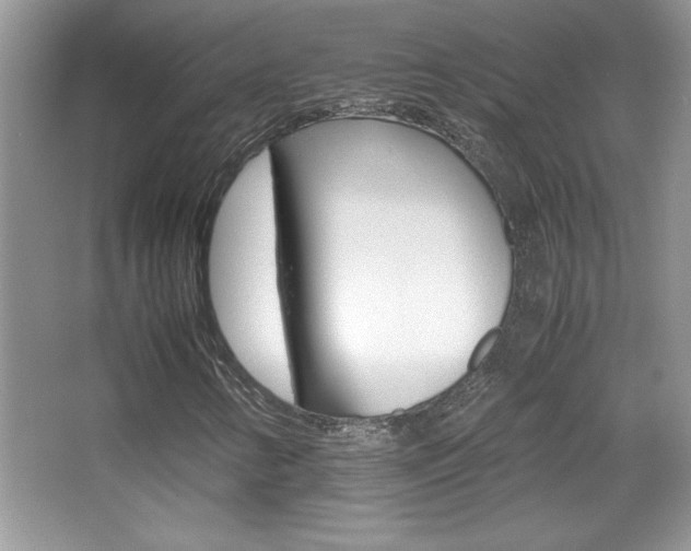 X0000067951346200604131152