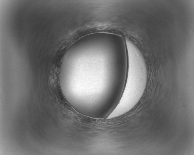 X0000067951349200604131152