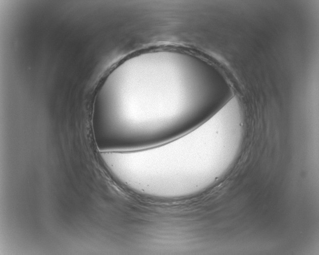 X0000067951359200604131152