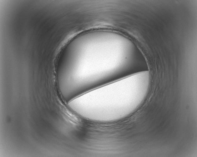 X0000067951363200604131152