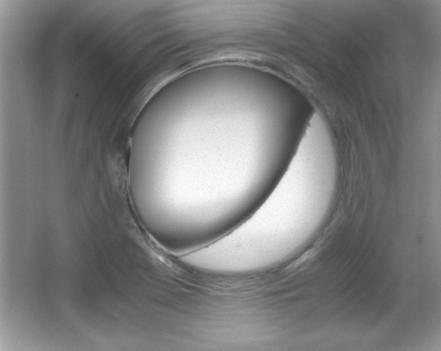 X0000067951369200604131152