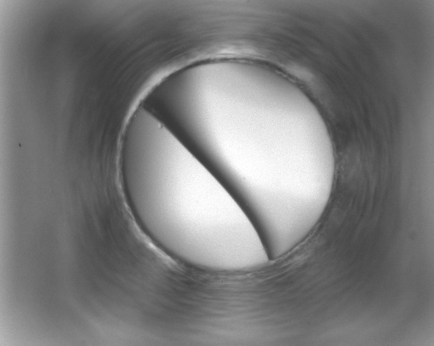 X0000067951374200604131152