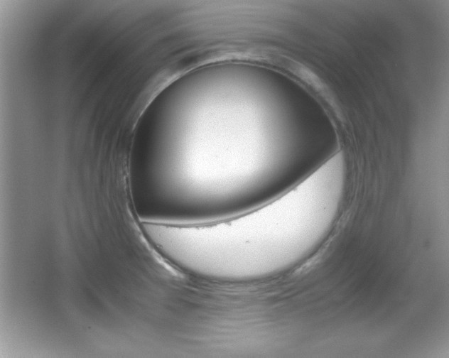 X0000067951377200604131152