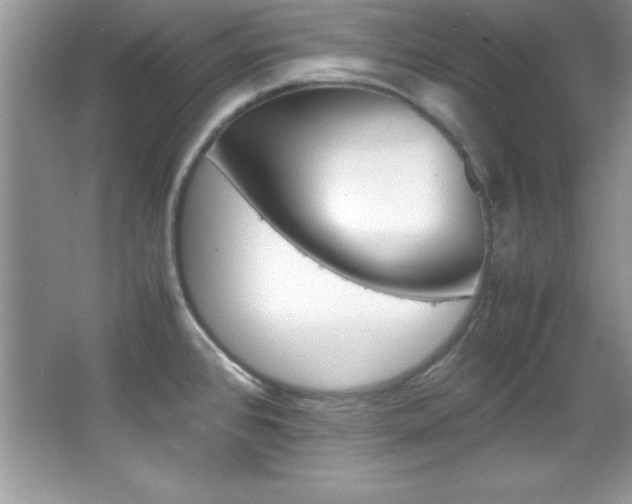 X0000067951384200604131151