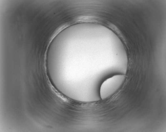 X0000067951386200604131151