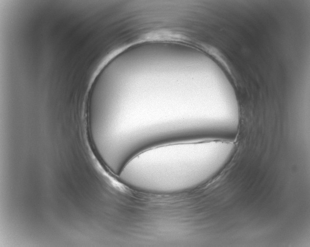 X0000067951387200604131151