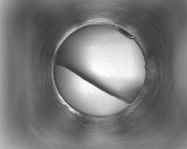 X0000067951390200604131151