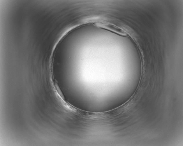 X0000067951392200604131151