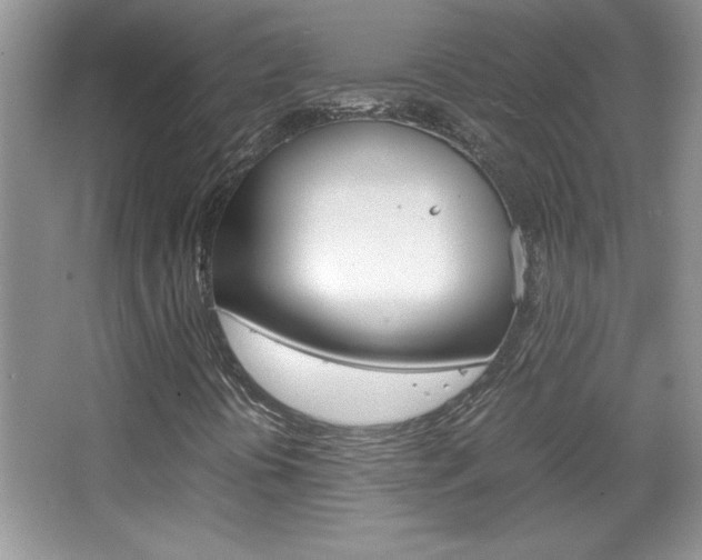X0000067951394200604131150