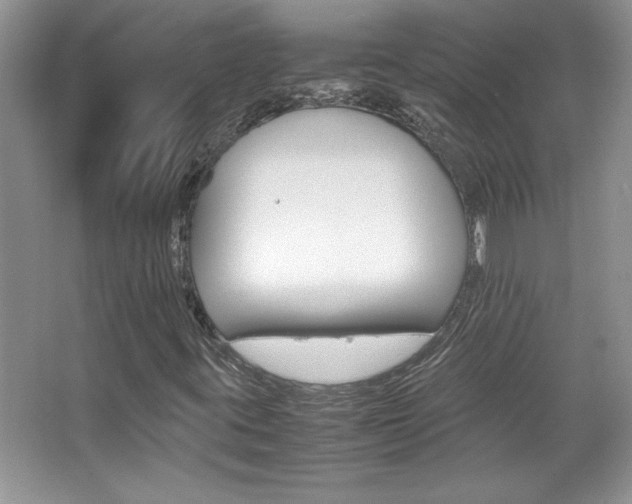 X0000067951395200604131151