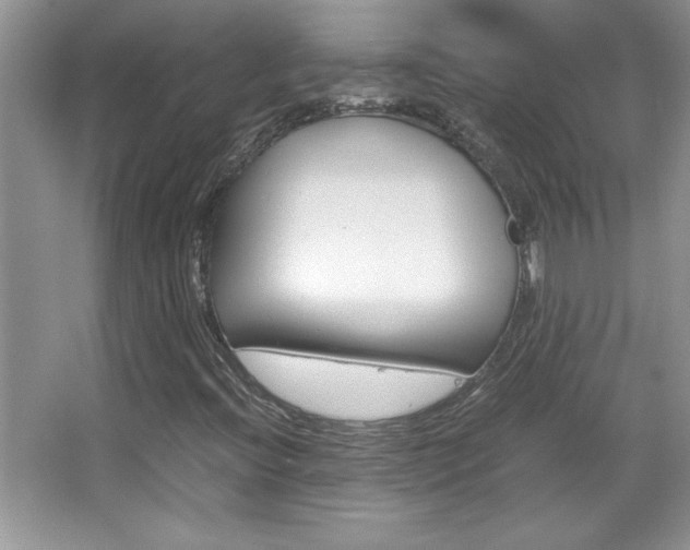 X0000067951396200604131151