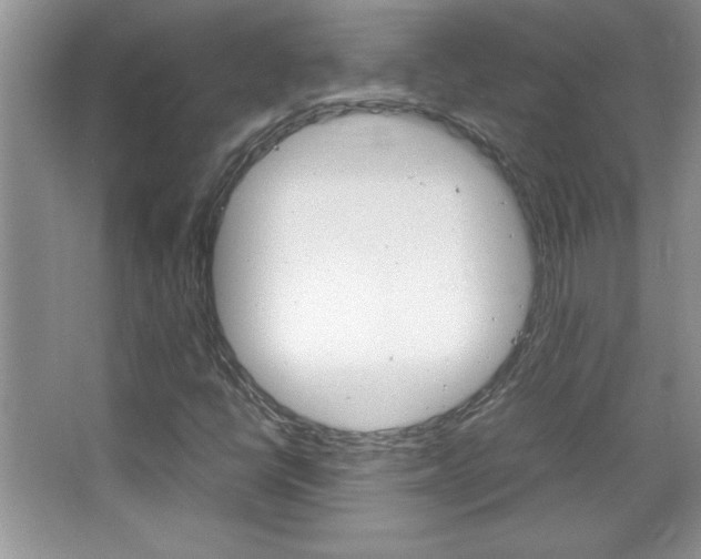 X0000067951398200604131151