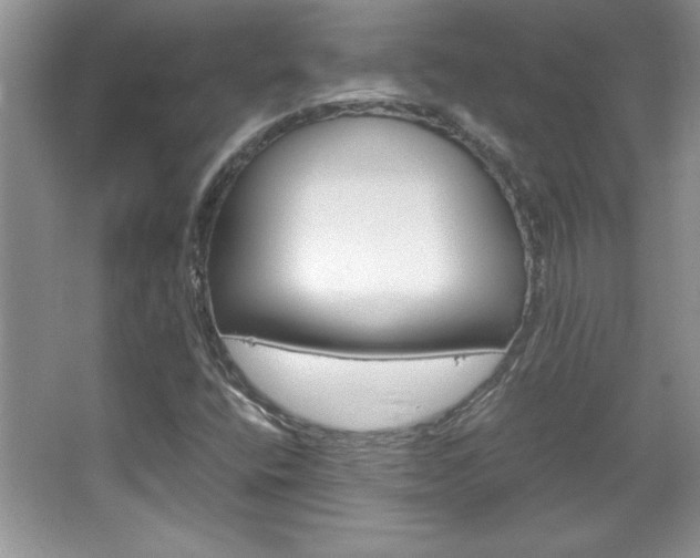 X0000067951400200604131151