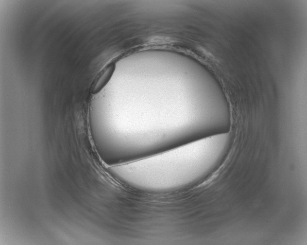 X0000067951401200604131151