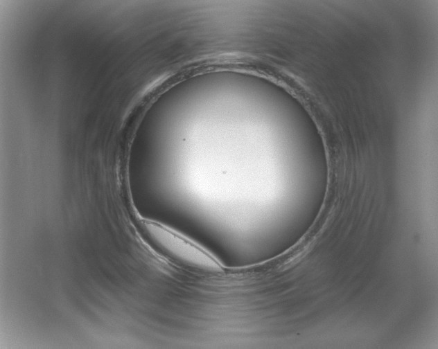 X0000067951402200604131151