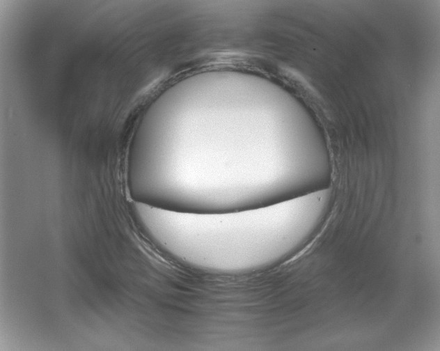 X0000067951403200604131151